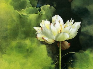 painting-flower-brush-water-lily