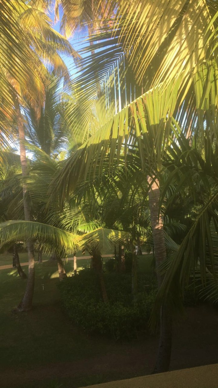 Punta Cana-Dominican Republic Trip&nbsp;2017