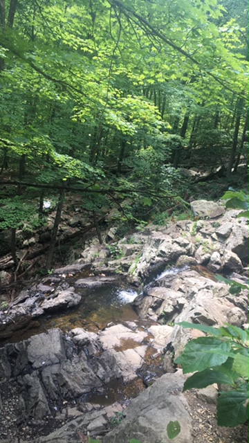 Mental Health Monday