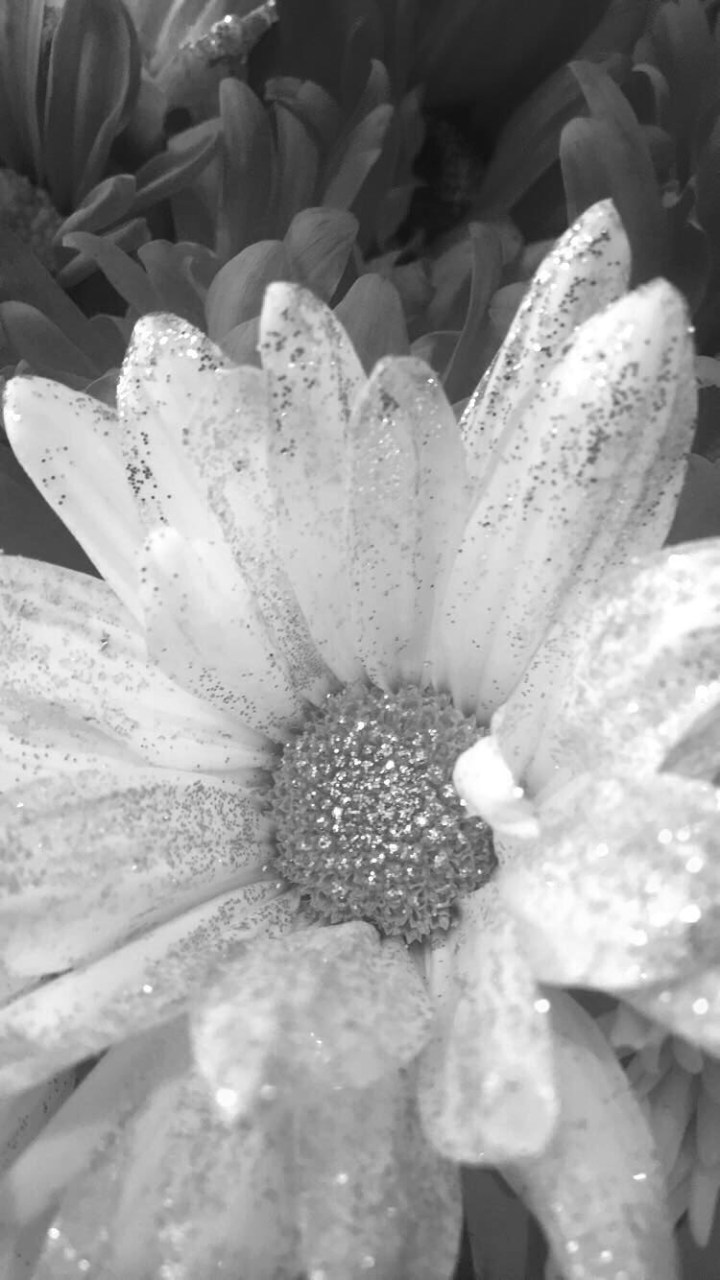 melancholy/misery/drowning