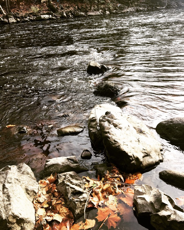 you never forgave&nbsp;me