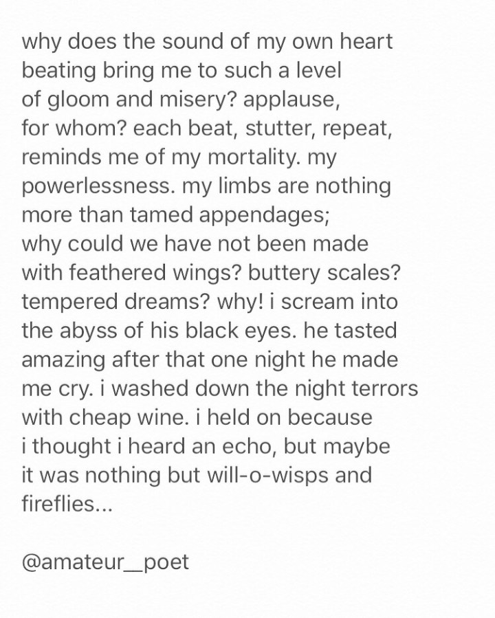 will-o-wisps and fireflies