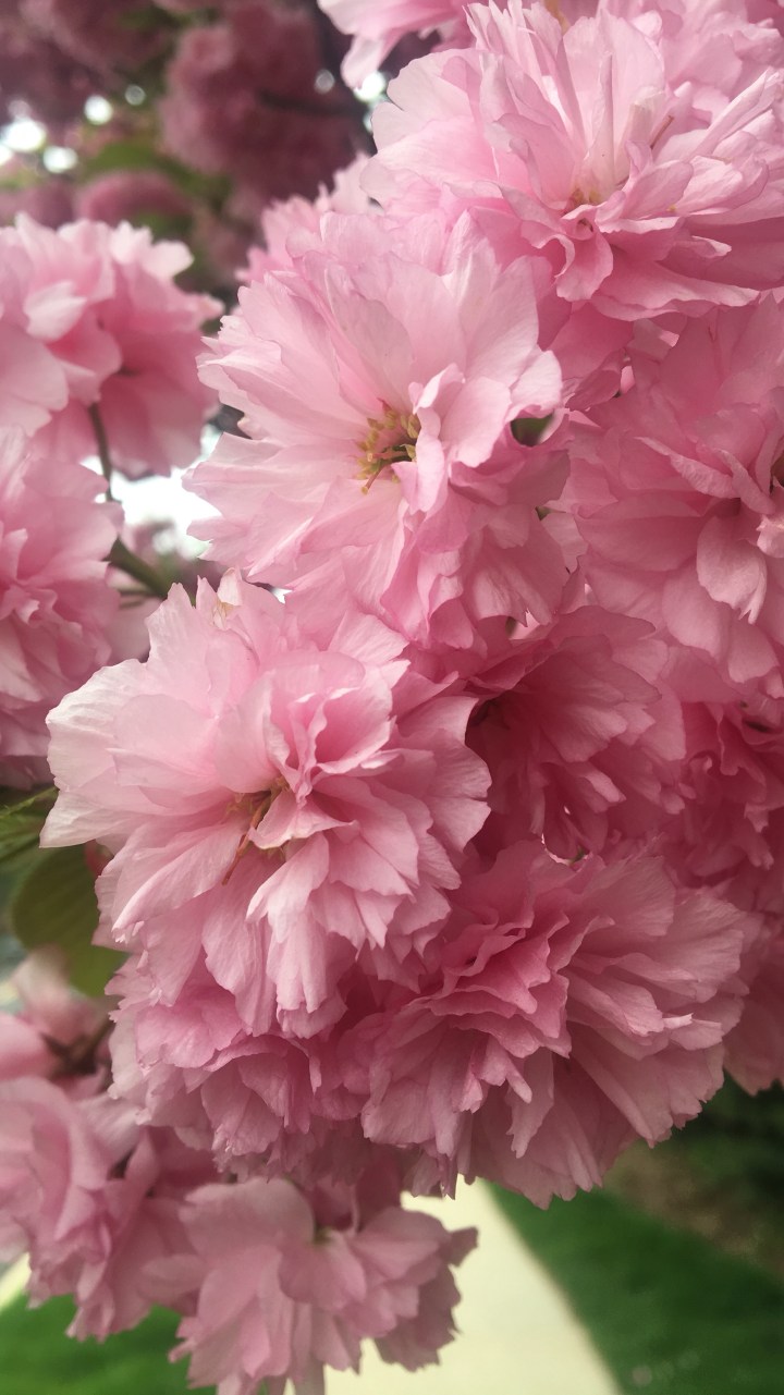 Artists You Should Listen&nbsp;To