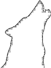 new look to&nbsp;blog!