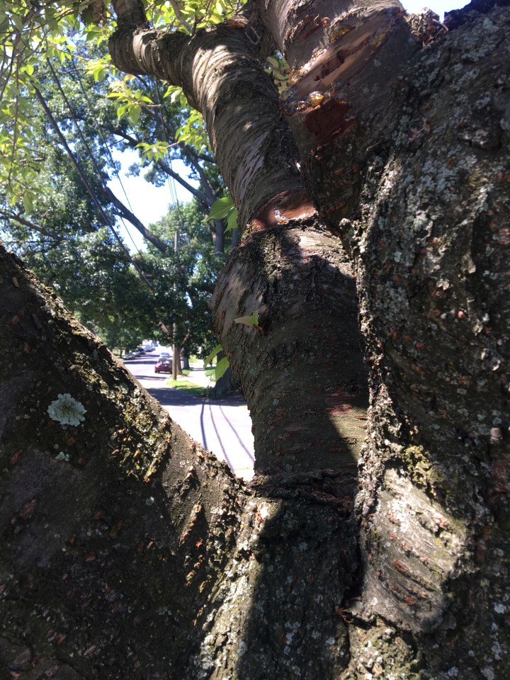 and then you were&nbsp;gone…