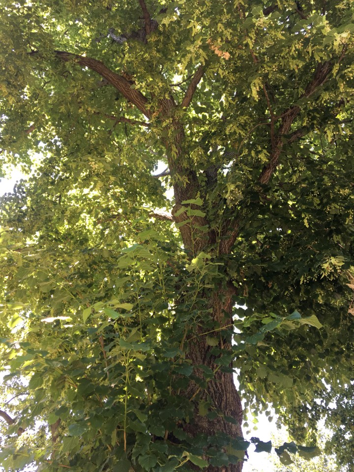 i am ready to start&nbsp;over