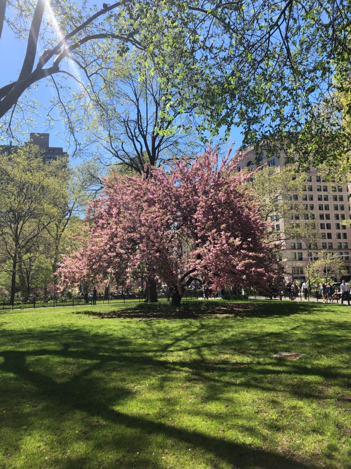 The magic of&nbsp;spring